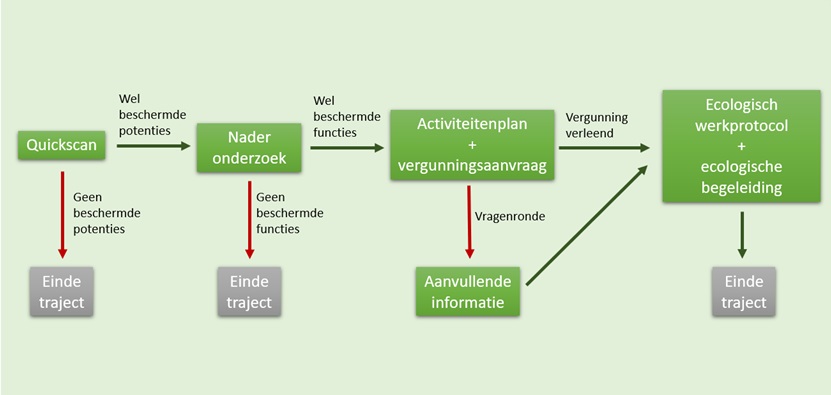 Schema ecologisch onderzoek